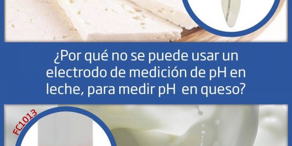queso-y-leche